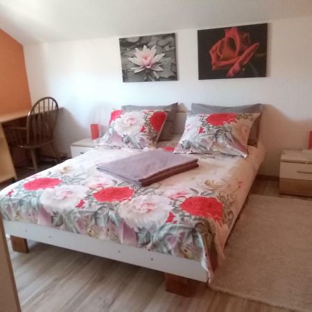 Apartman Franjicic Korenica Kültér fotó