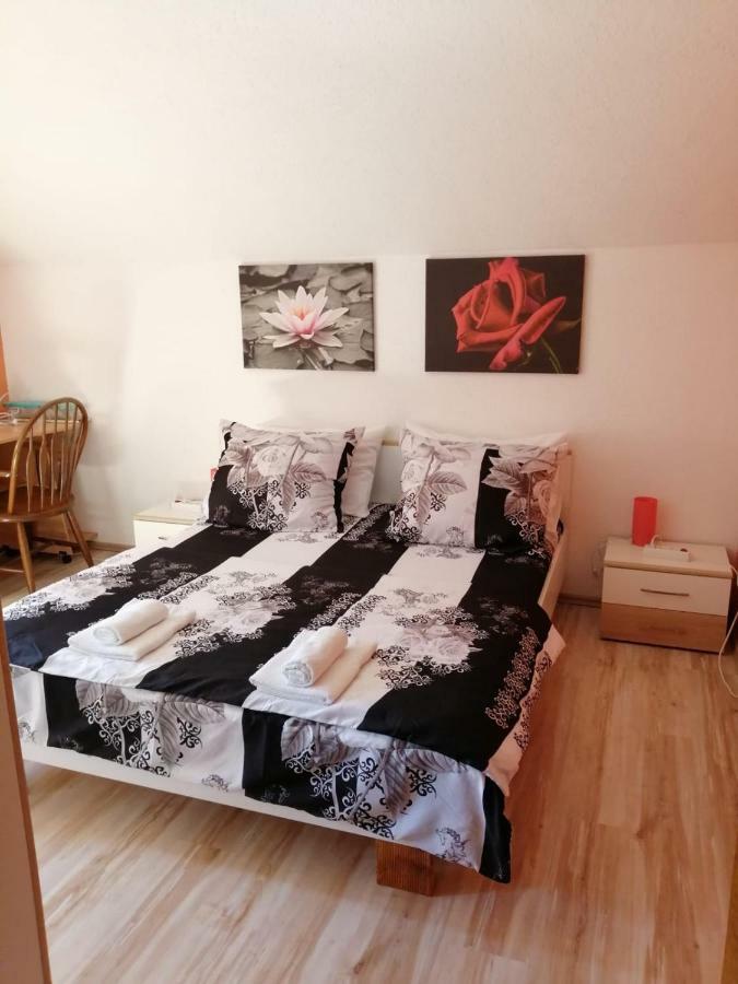 Apartman Franjicic Korenica Kültér fotó